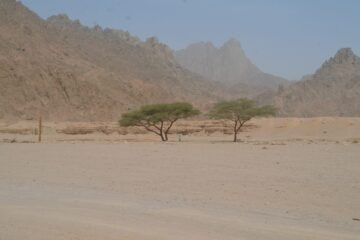 Mega safari El Quseir
