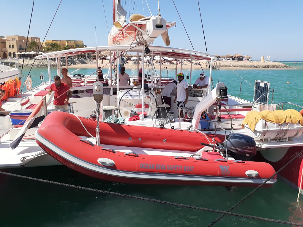 ocean diva catamaran sailing tours el gouna