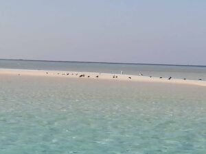 Private Bootstour ab Hurghada