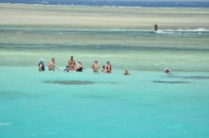 Giftun Insel Schnorchel Ausflug SAHL HASHEESH (13)