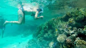 Giftun Insel Schnorchel Ausflug