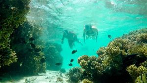 Giftun Insel Schnorchel Ausflug