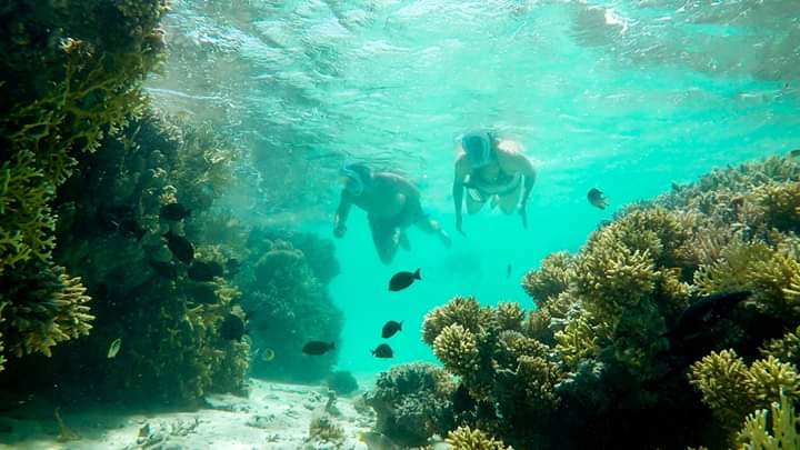 Giftun Insel Schnorchel Ausflug