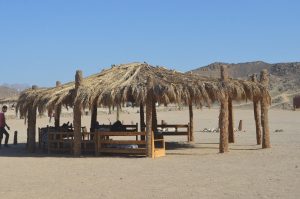 Mega Safari Ausflug ab Marsa Alam