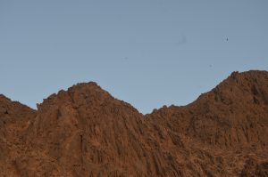 Mega Safari Ausflug ab Marsa Alam