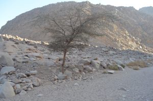 Mega Safari Ausflug ab Marsa Alam