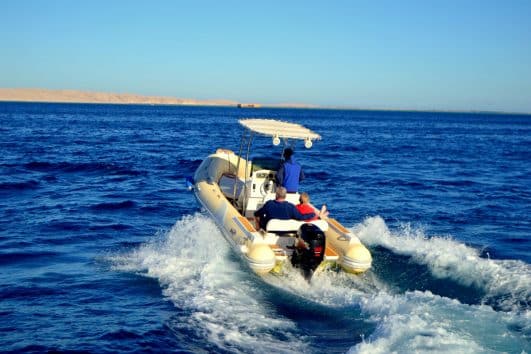 Speedboot Hurghada Delfinen Speedboat