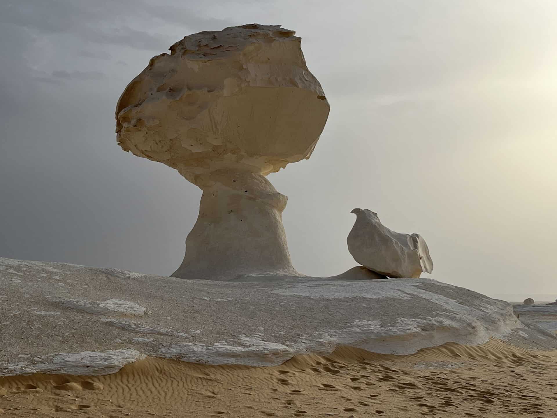 Die weiße und schwarze Wüste-3 Tage Ausflug