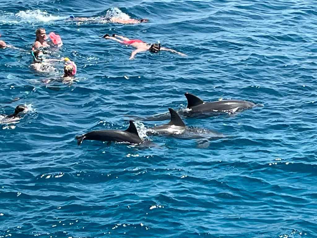 Ab El Quseir Dolphin House Sataya Insel