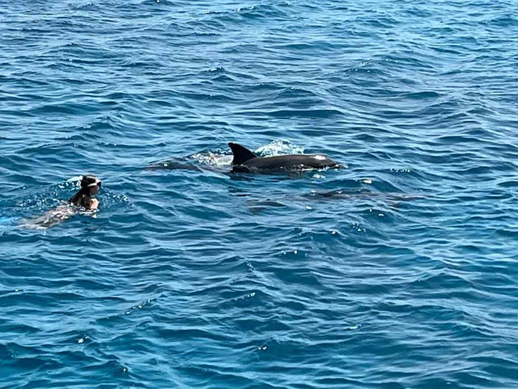 Ab El Quseir Dolphin House Sataya Insel