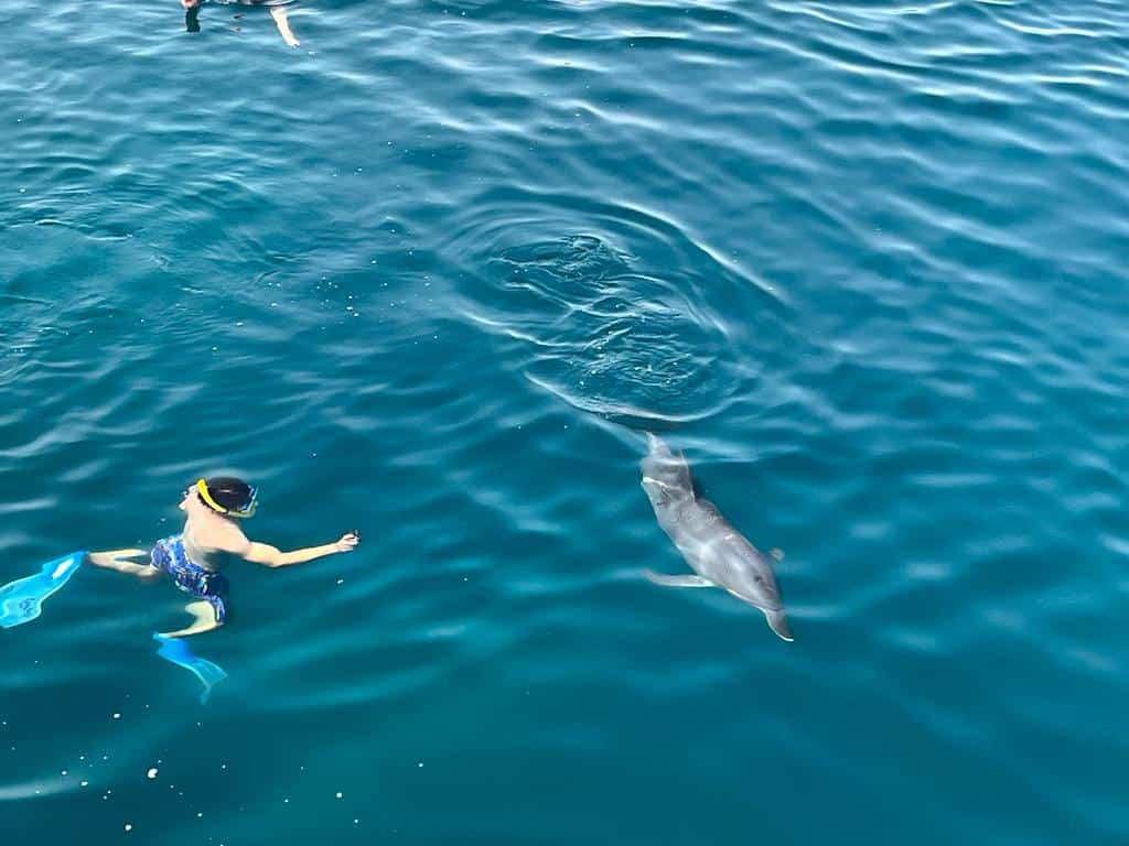 Ab El Quseir Dolphin House Sataya Insel