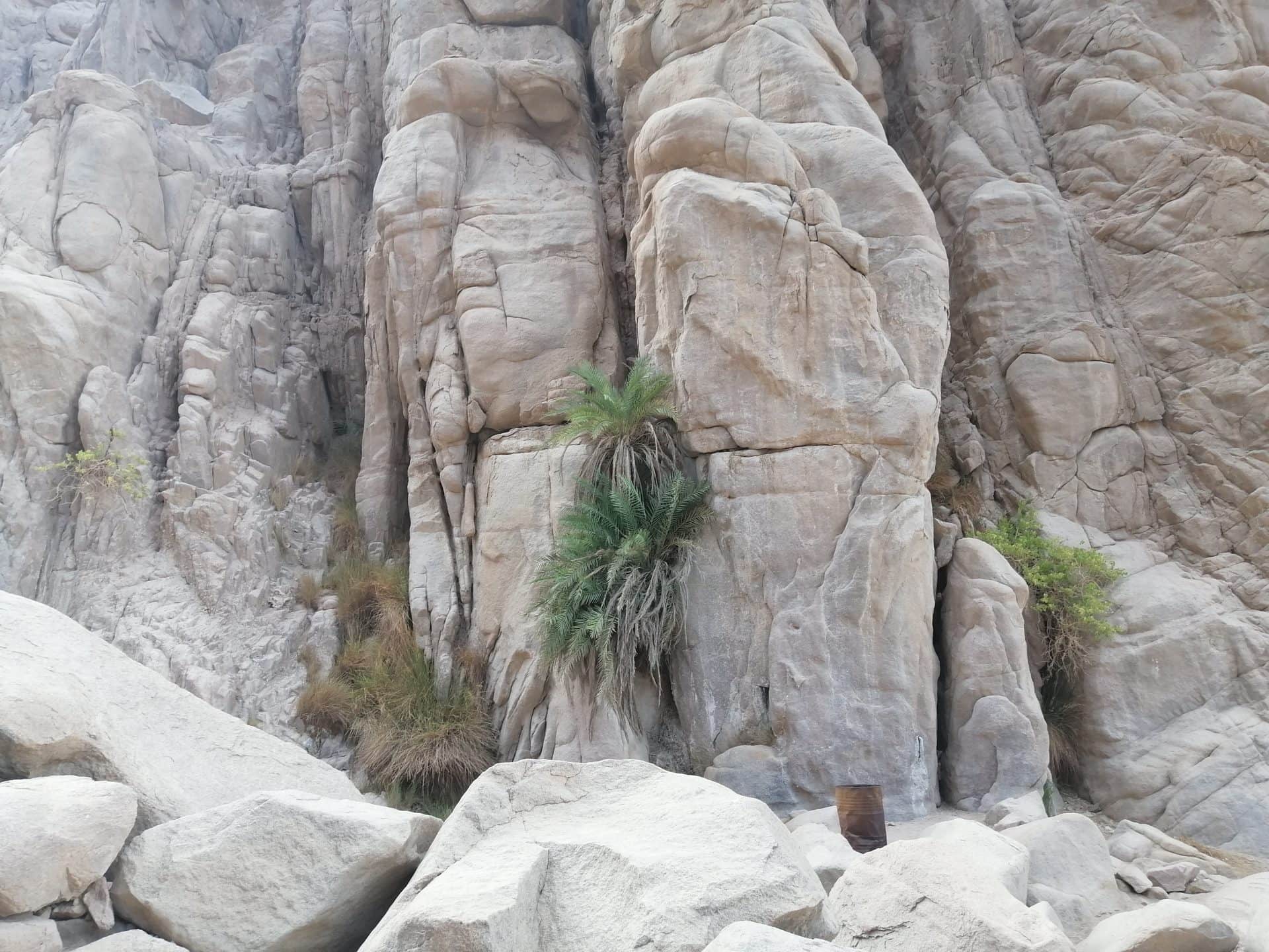 jeep safari ausflug hurghada